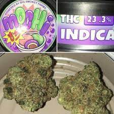Where to Purchase Mochi Weed Strain online in the UK and Mochi Weed Strain for sale
